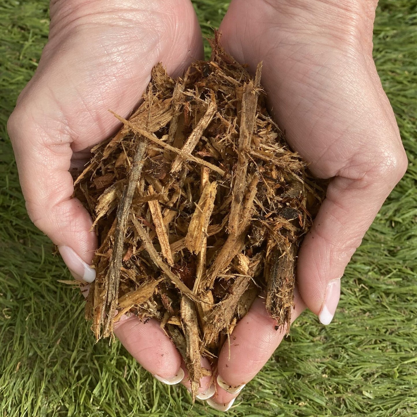 Cedar Mulch