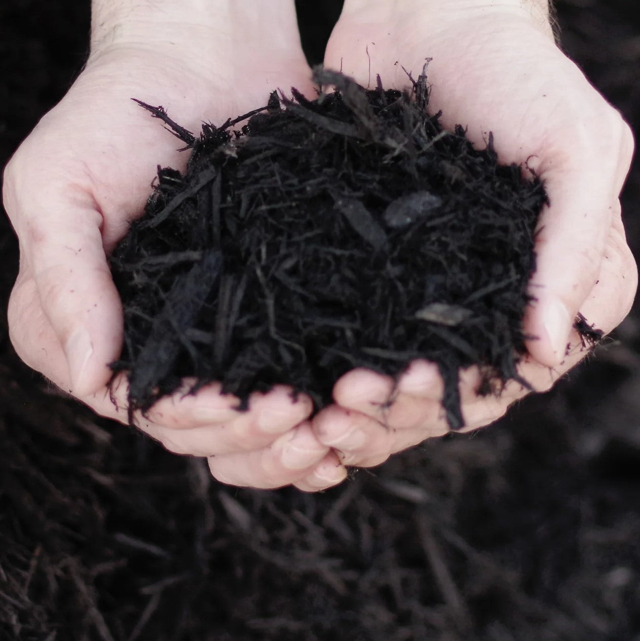 Black Mulch